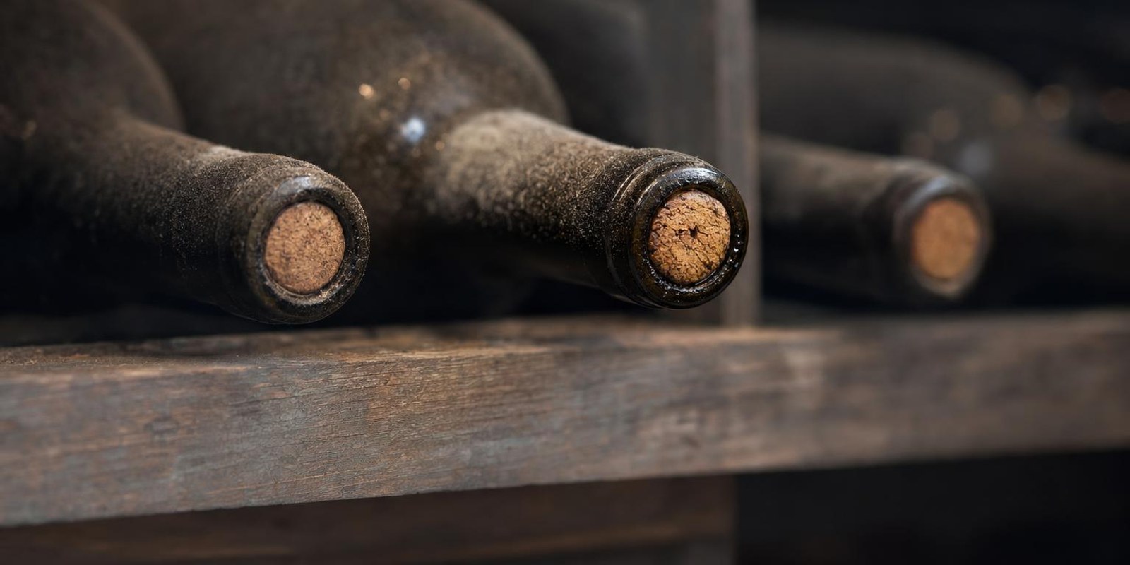 Liegende Weinflaschen mit leicht staubigem Glas lagern in einem Holzregal in kuehlem Daemmerlicht.