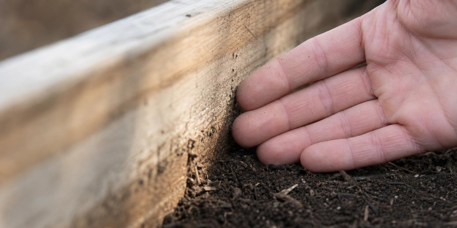 Die Erde im Hochbeet ist deutlich unter den Holzrand abgesackt, eine Hand zeigt die Hoehe der Luecke.