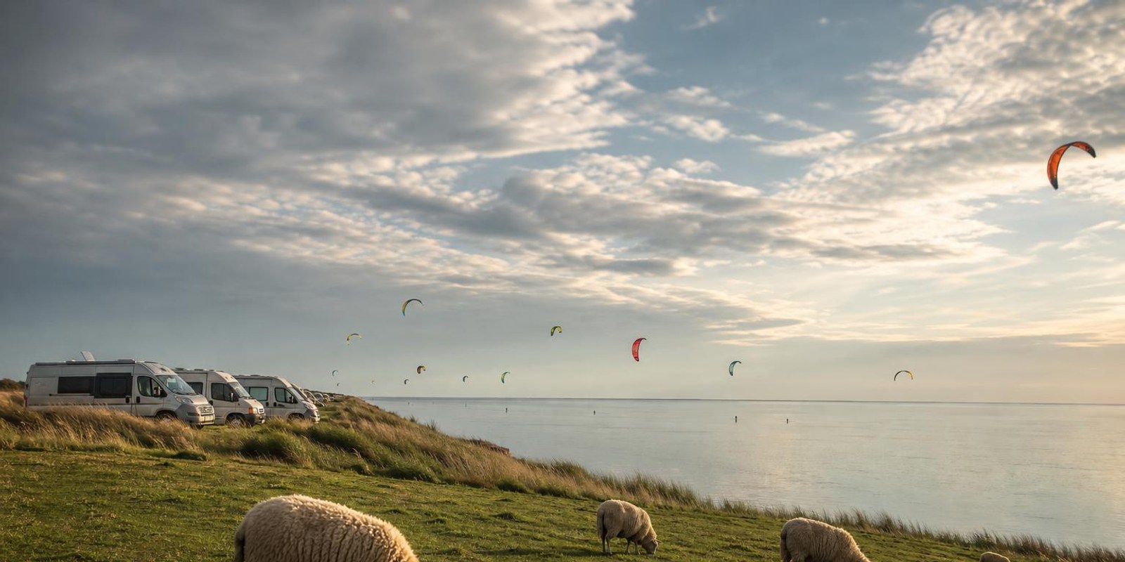 Spiegelflaches IJsselmeer unter riesigem Wolkenhimmel, bunte Kites verteilen sich vor dem gruenen Deich.